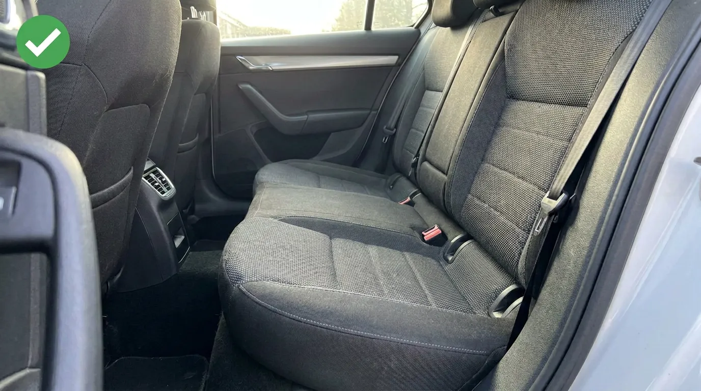 Car seat after using the Puravetta mitt — no pet hair