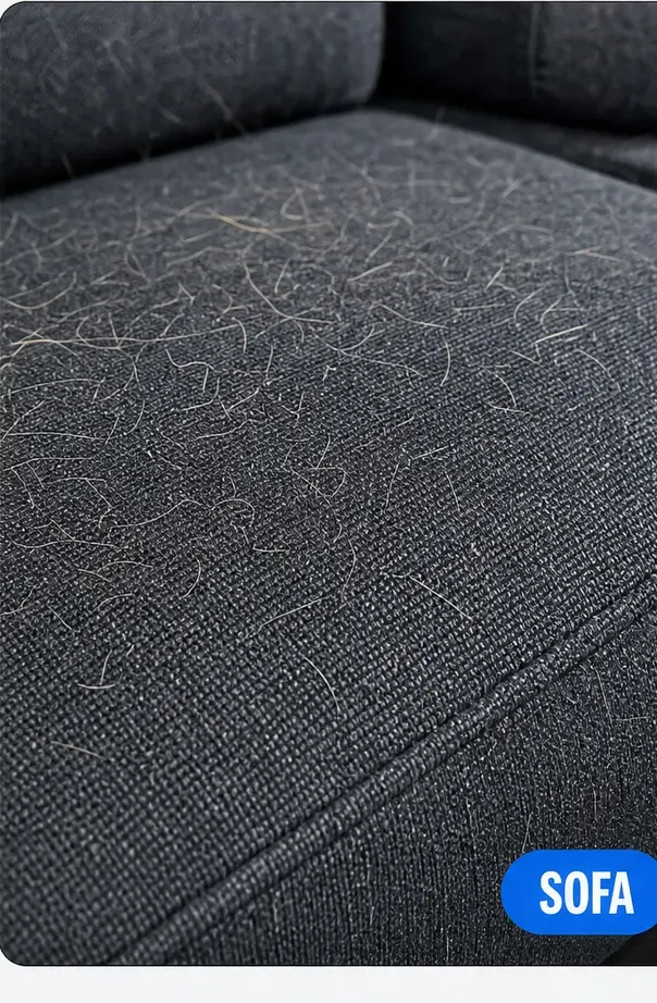 Pet hair on a sofa cushion